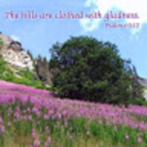 Meet your Posher, Jo ann